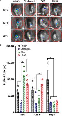 Efficacy of Bisphosphonate-Conjugated Sitafloxacin in a Murine Model of S. aureus Osteomyelitis: Evidence of “Target & Release” Kinetics and Killing of Bacteria Within Canaliculi